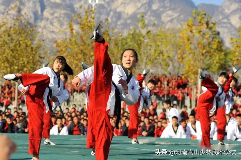 女孩在少林寺学武术好吗,女生可以学少林寺的武功吗