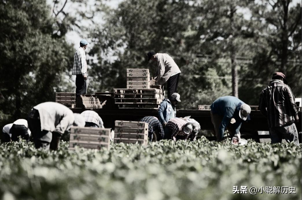 如今还存在人口*市黑**？贩卖5000万奴隶，拍卖*奴女**、卖器官实在可怕