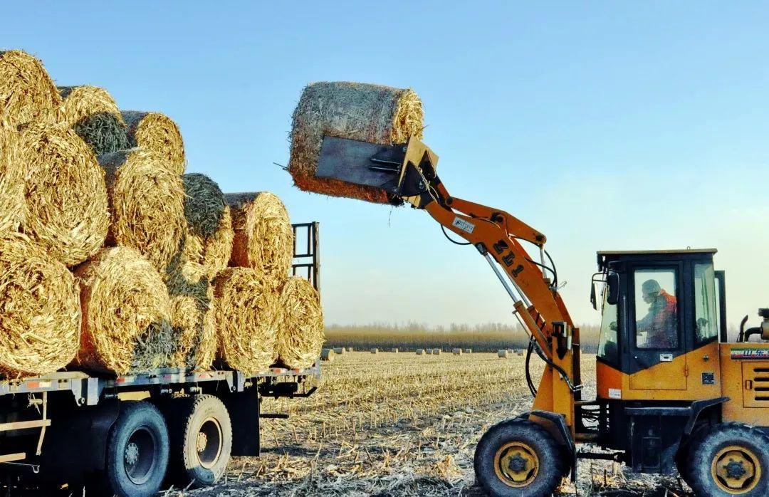 农村墙上的标语对6亿农民的影响,这些年农村哪些标语让你记忆深刻