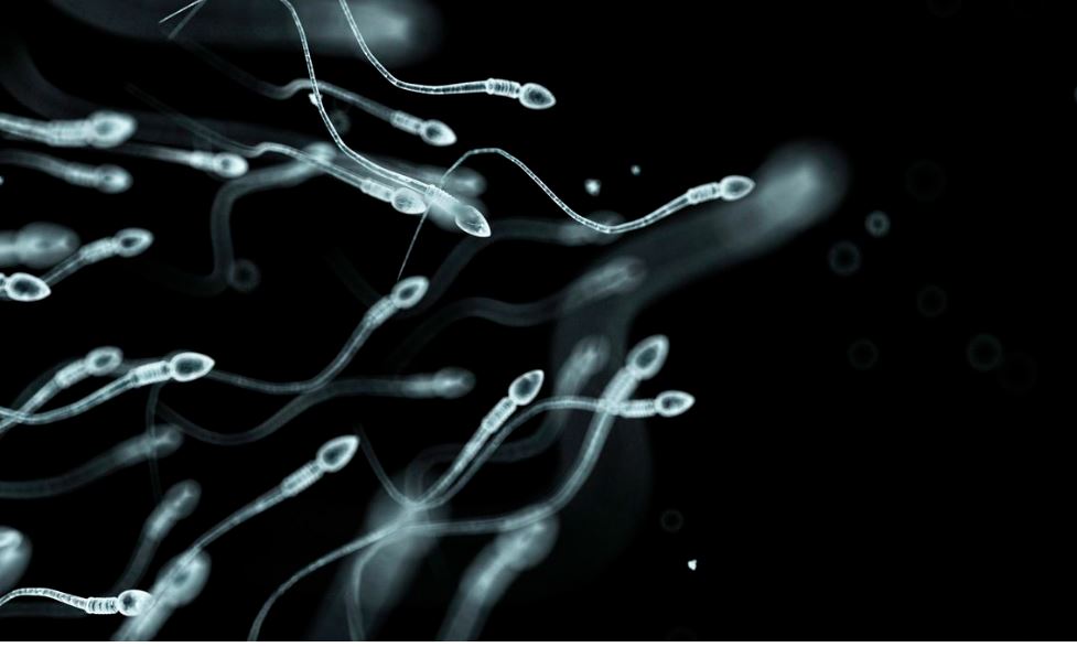 男性避孕针实测,最新突破男性避孕药