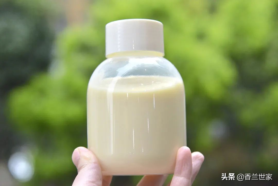 「香兰小美教程」绿豆牛奶饮，丝滑浓稠清润降火