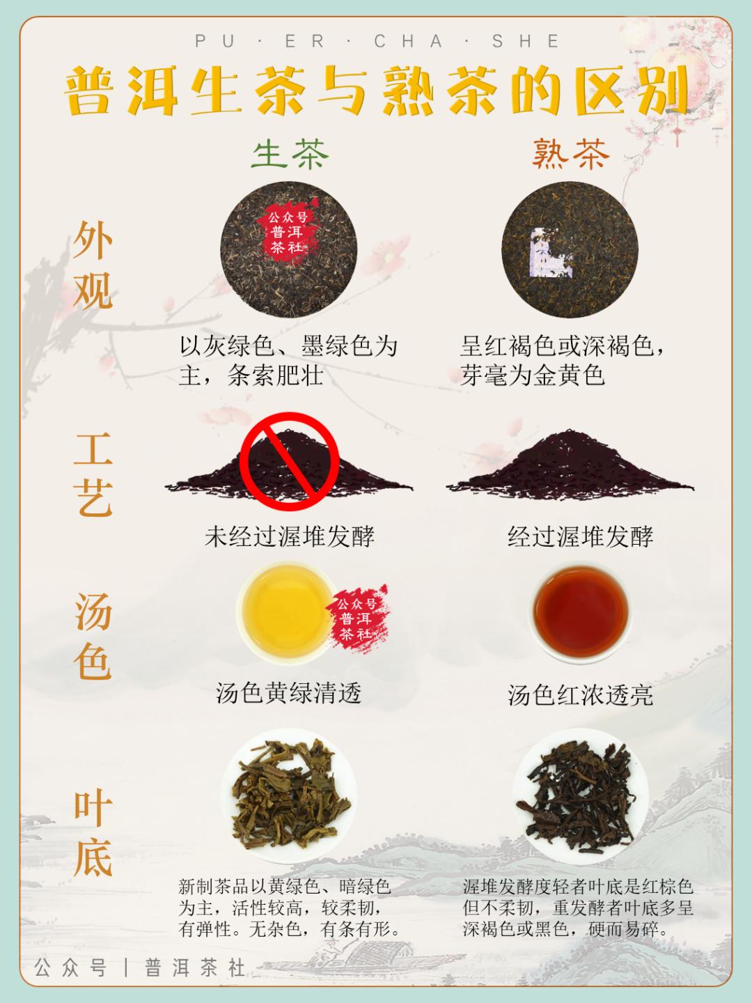 正宗的云南普洱茶是什么样的,真正的云南普洱茶是什么样