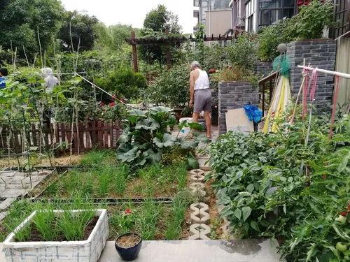 2022非转农业户口需要哪些条件,非转农户口需要哪些手续