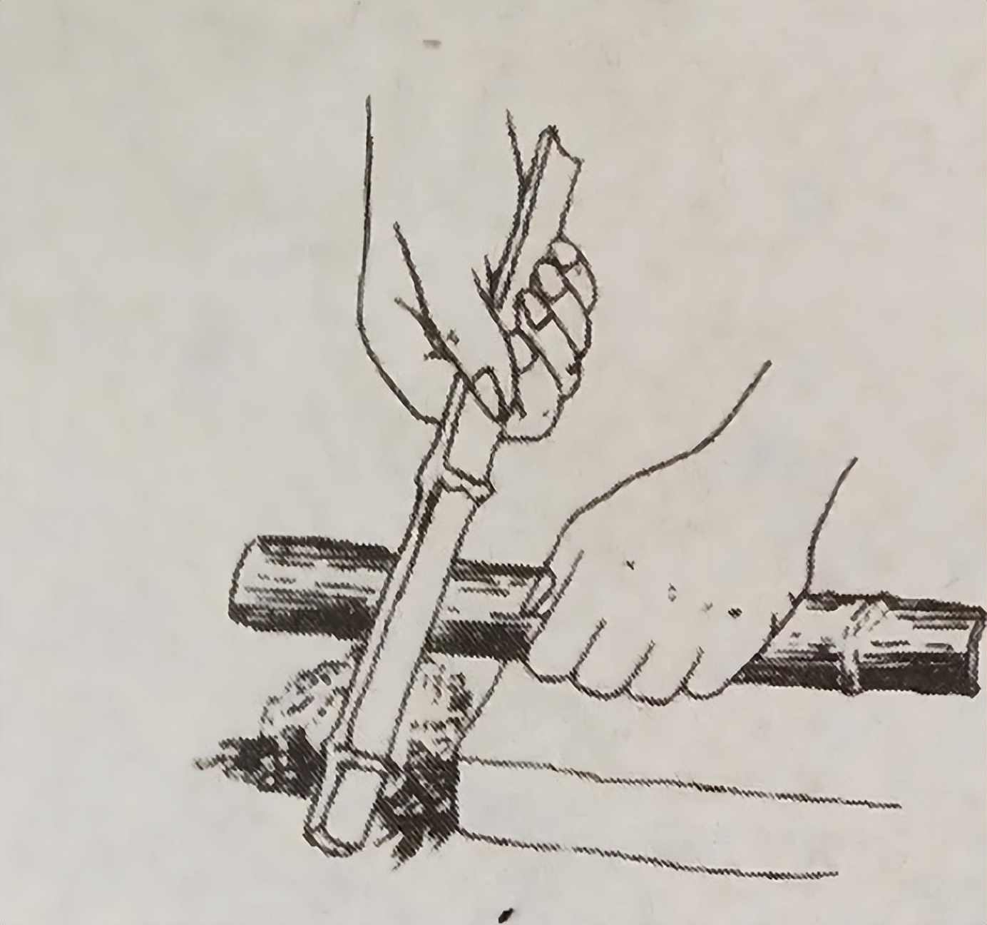 锯竹取火钻木取火擦木取火,石器时代取物