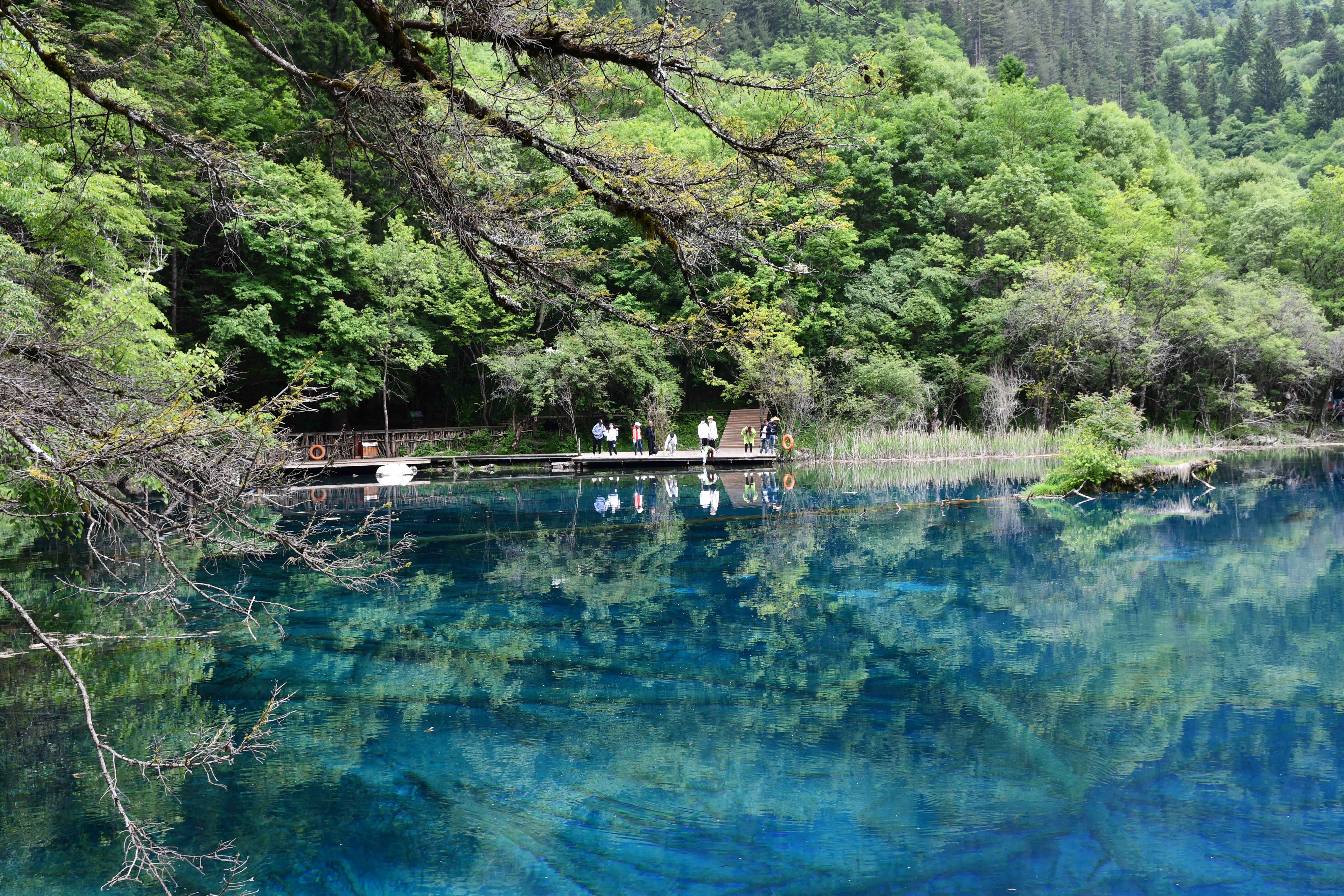 成都到九寨沟自驾旅游攻略自由行,成都到九寨沟旅游攻略最佳路线