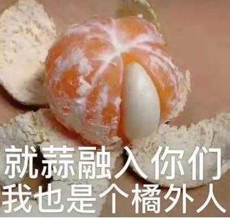 读博的利大还是弊大,读博到底有意义吗