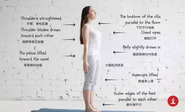 初学者12种瑜伽姿势名称英文,初学者瑜伽入门零基础8个动作