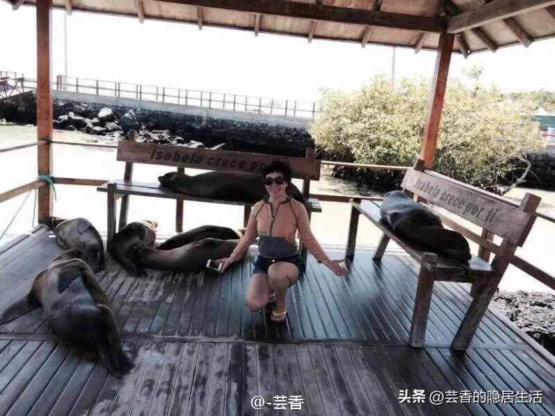 厄瓜多尔国家治安好吗,厄瓜多尔基多富人区