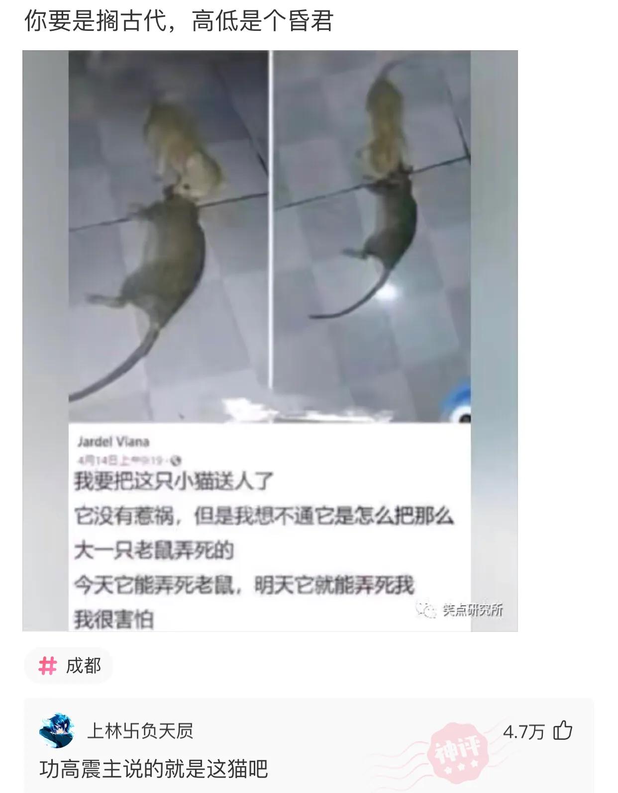 误发给女房东的微信,给老婆发短信误发给了女房东