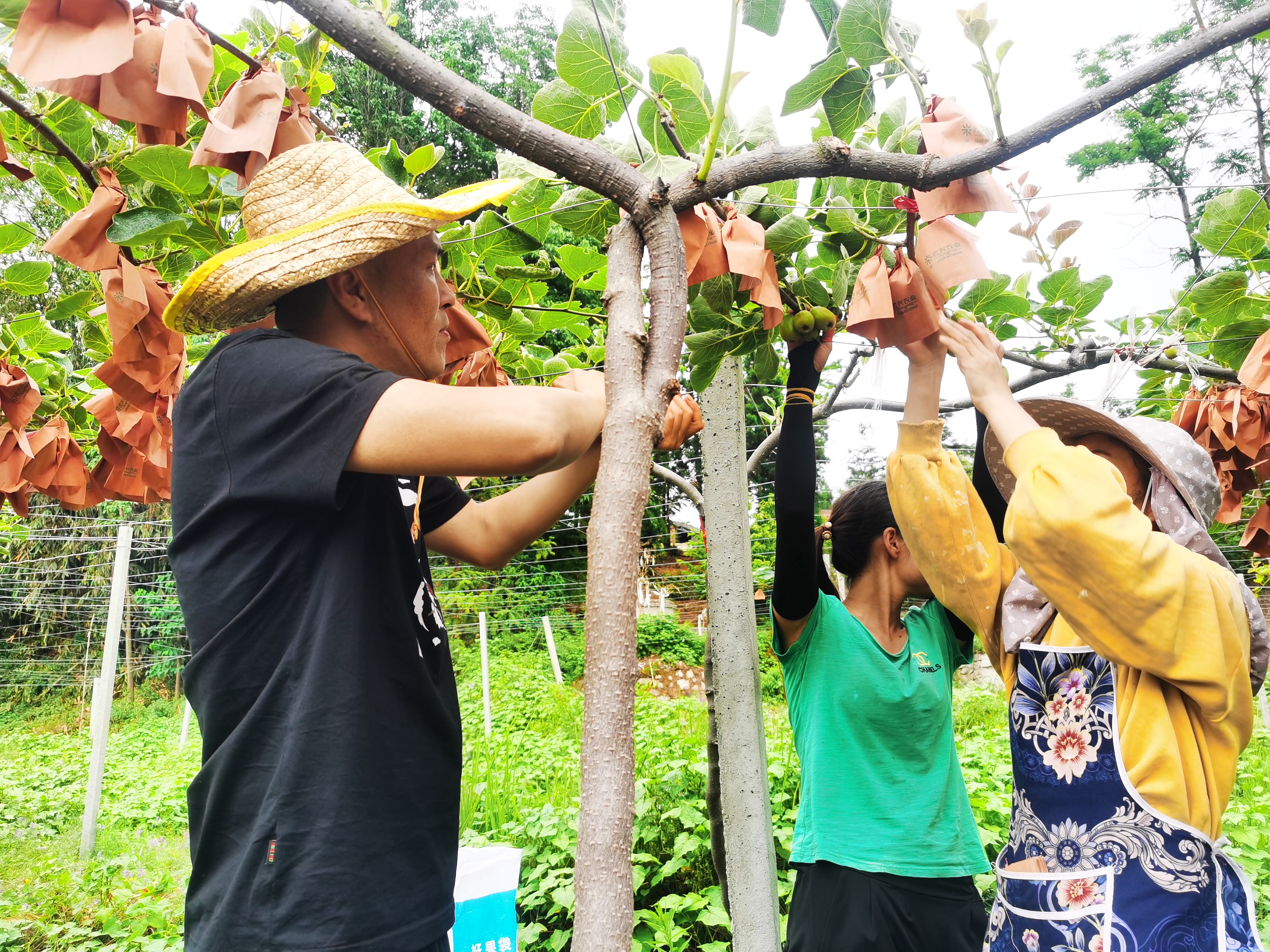 一颗红心向前走,一颗红心走天下