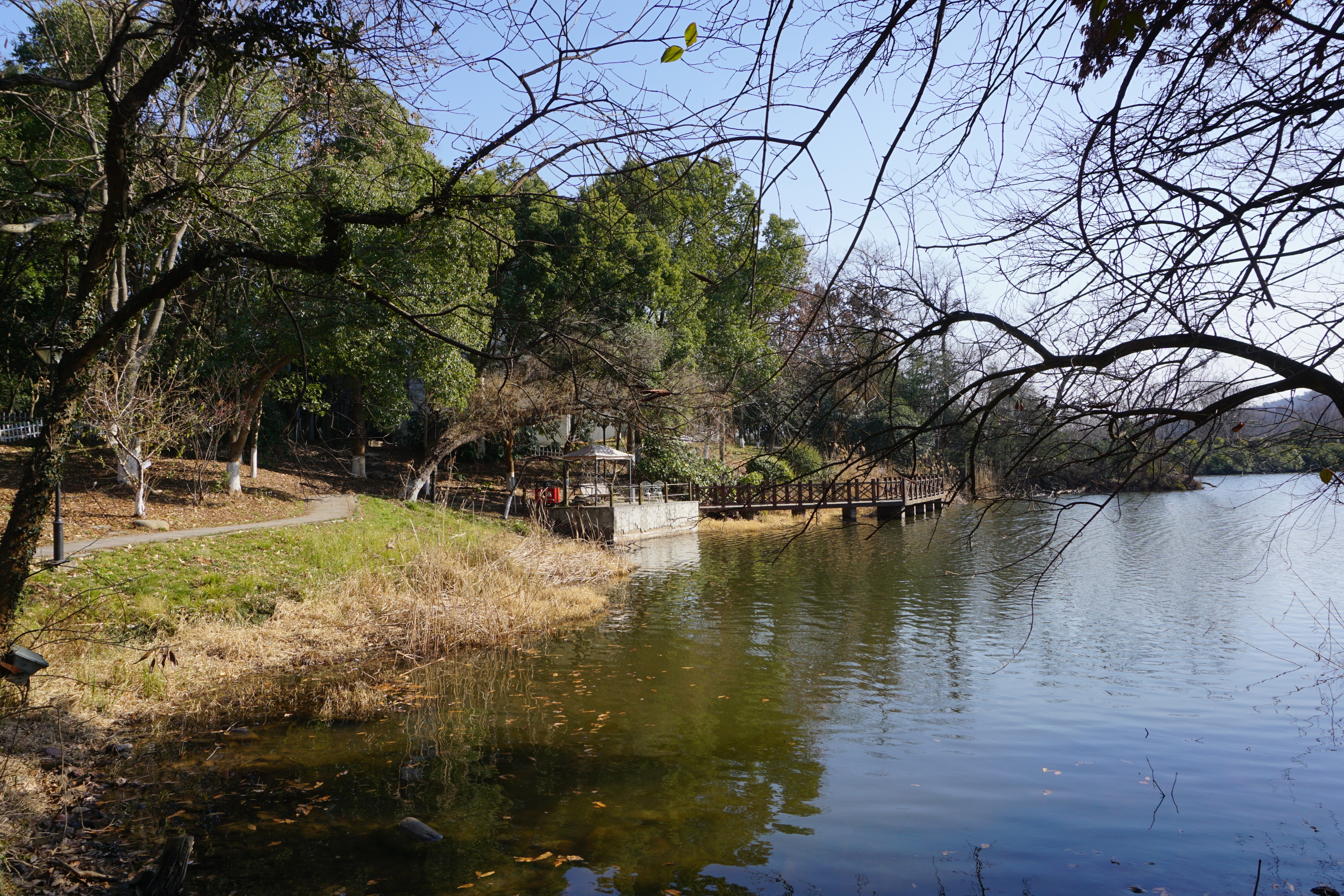 南京人看杭州,南京紫金山庄在哪里