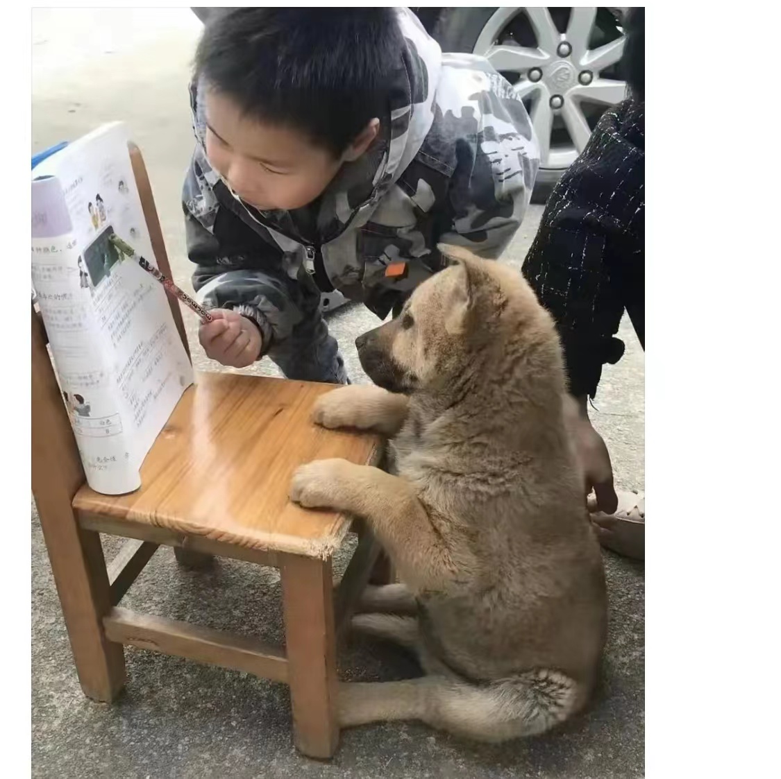 搞笑神回复骨头硬了,搞笑神回复神评论图片