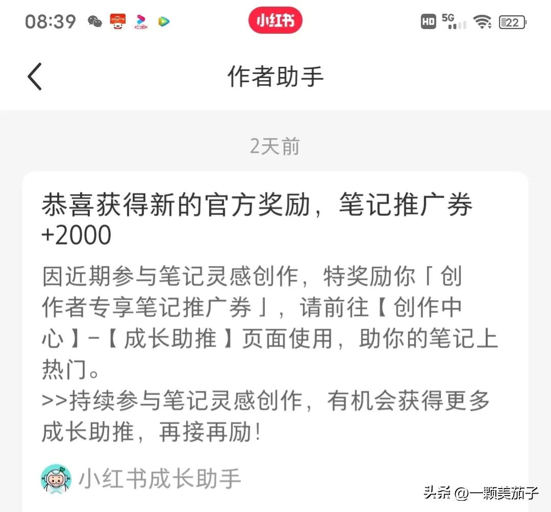 企鹅百家今日头条收益哪个高,头条百家都有收益了吗