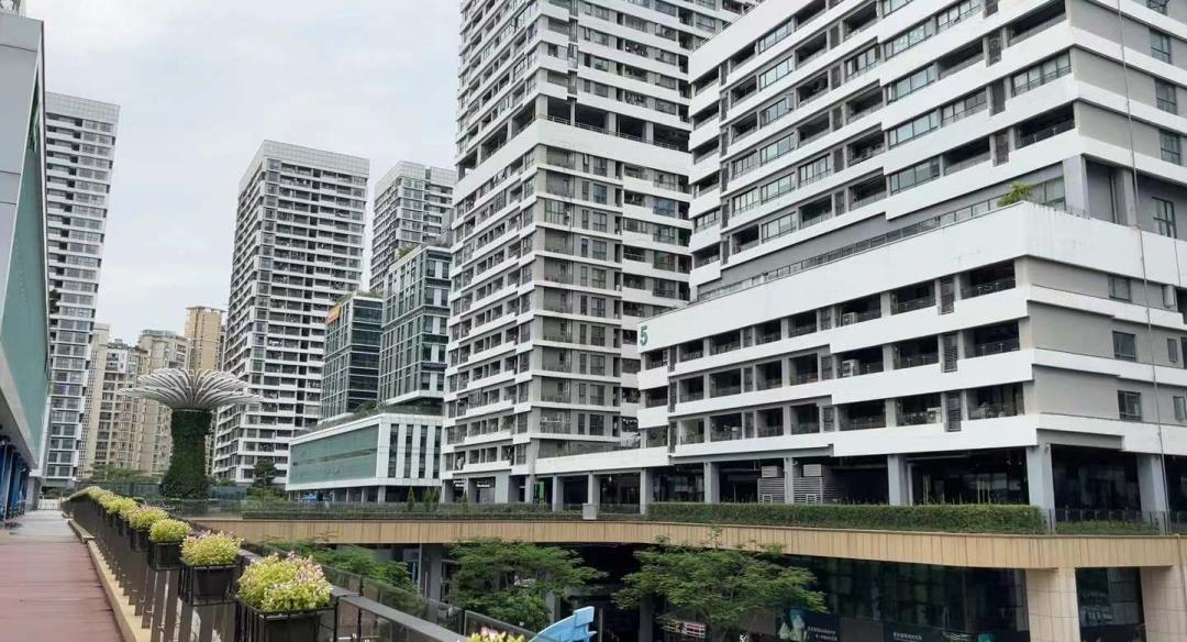 深圳湾绿化环境,深圳湾环境怎么样