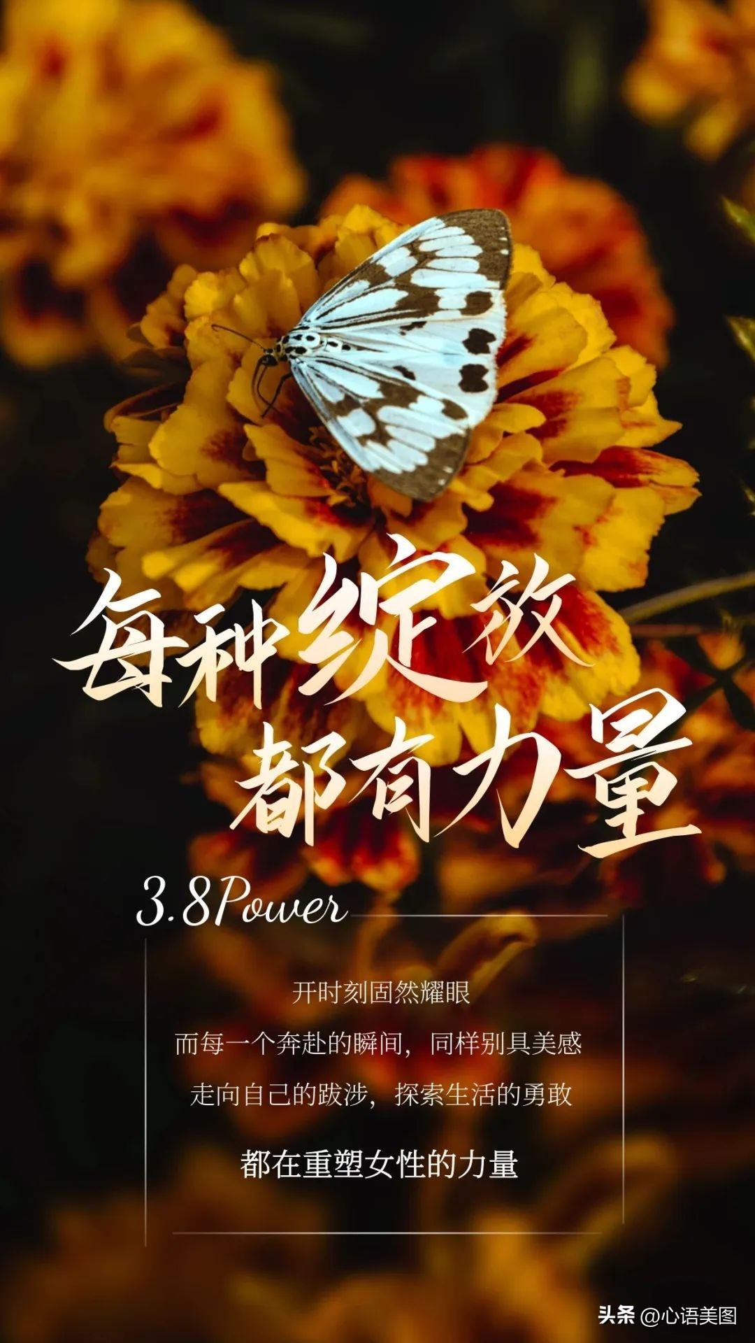 三八妇女节发朋友圈带图片文案,三八妇女节祝福语图片高清图