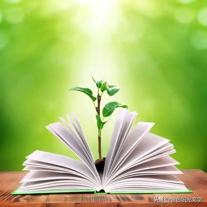 四年级作文我的自画像,我的自画像作文女孩