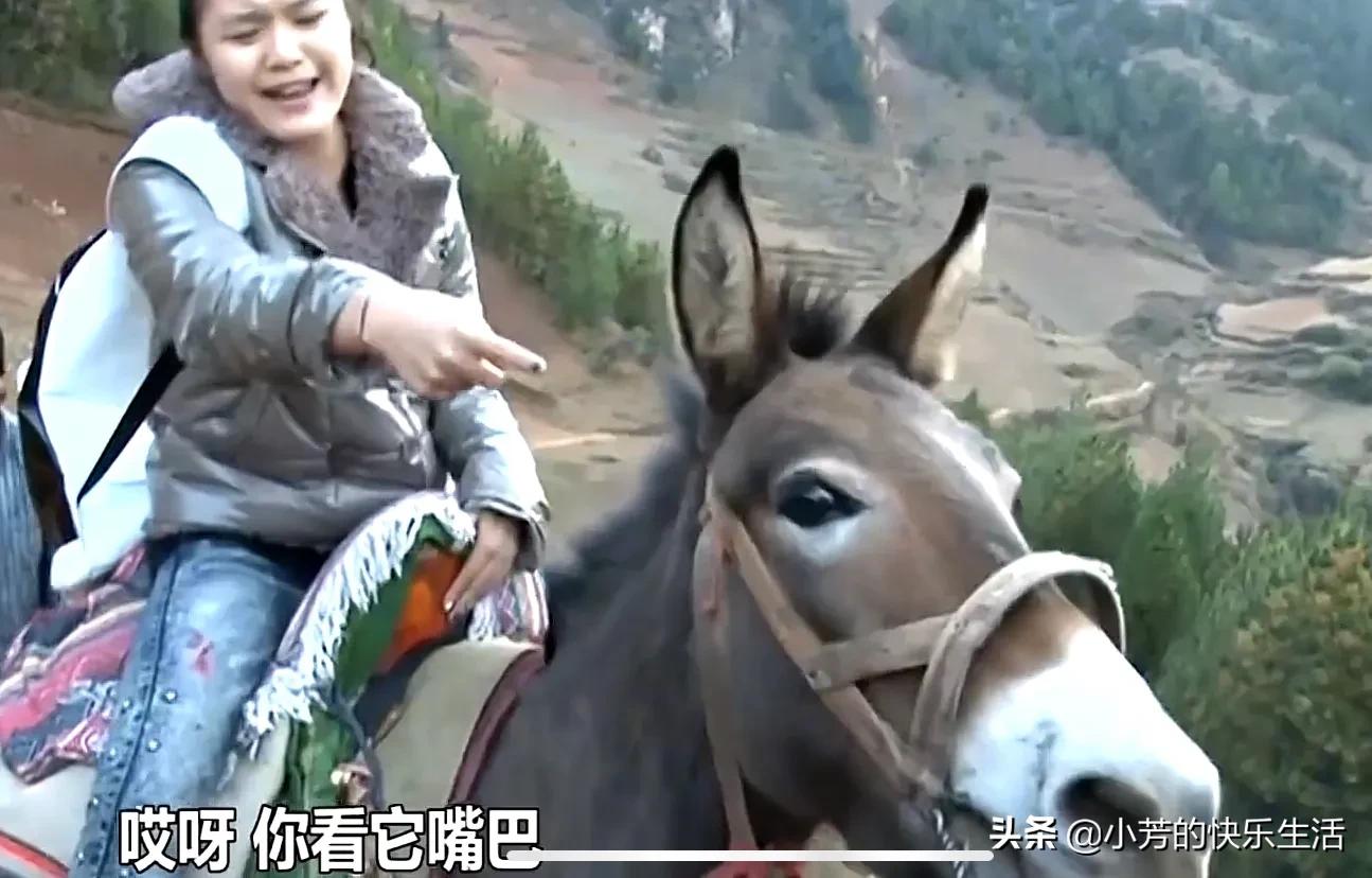 领养女孩真实事件,领养小女孩真实事件