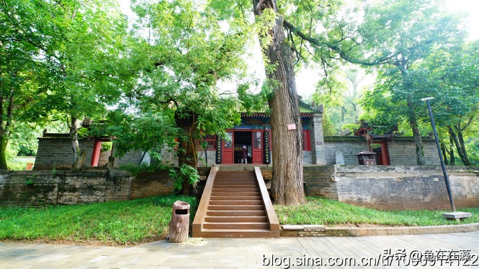 65)战疫·陕：岐山县太平寺塔、周公庙