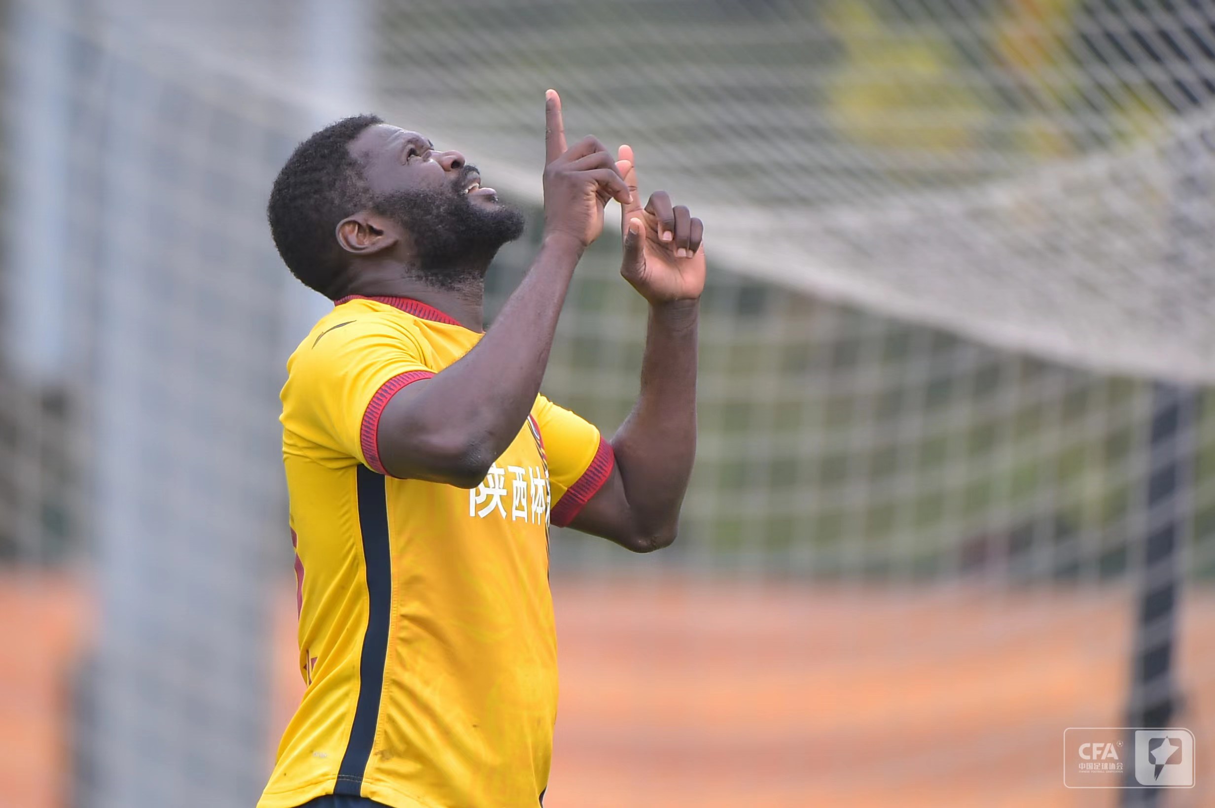 两狼对决,两狼相争剧情