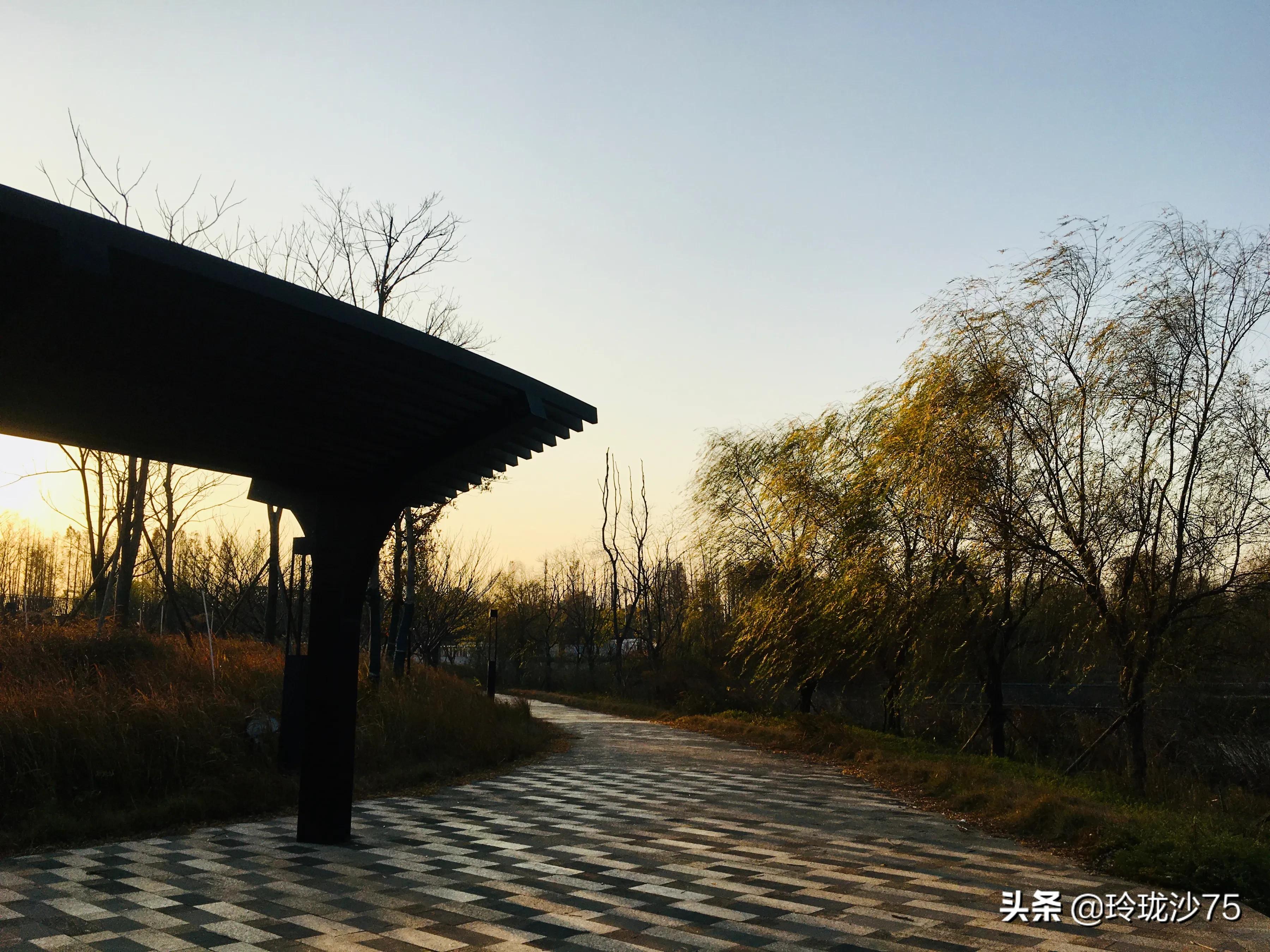 长沙风景美丽的篮球场,长沙王陵公园生态足球场