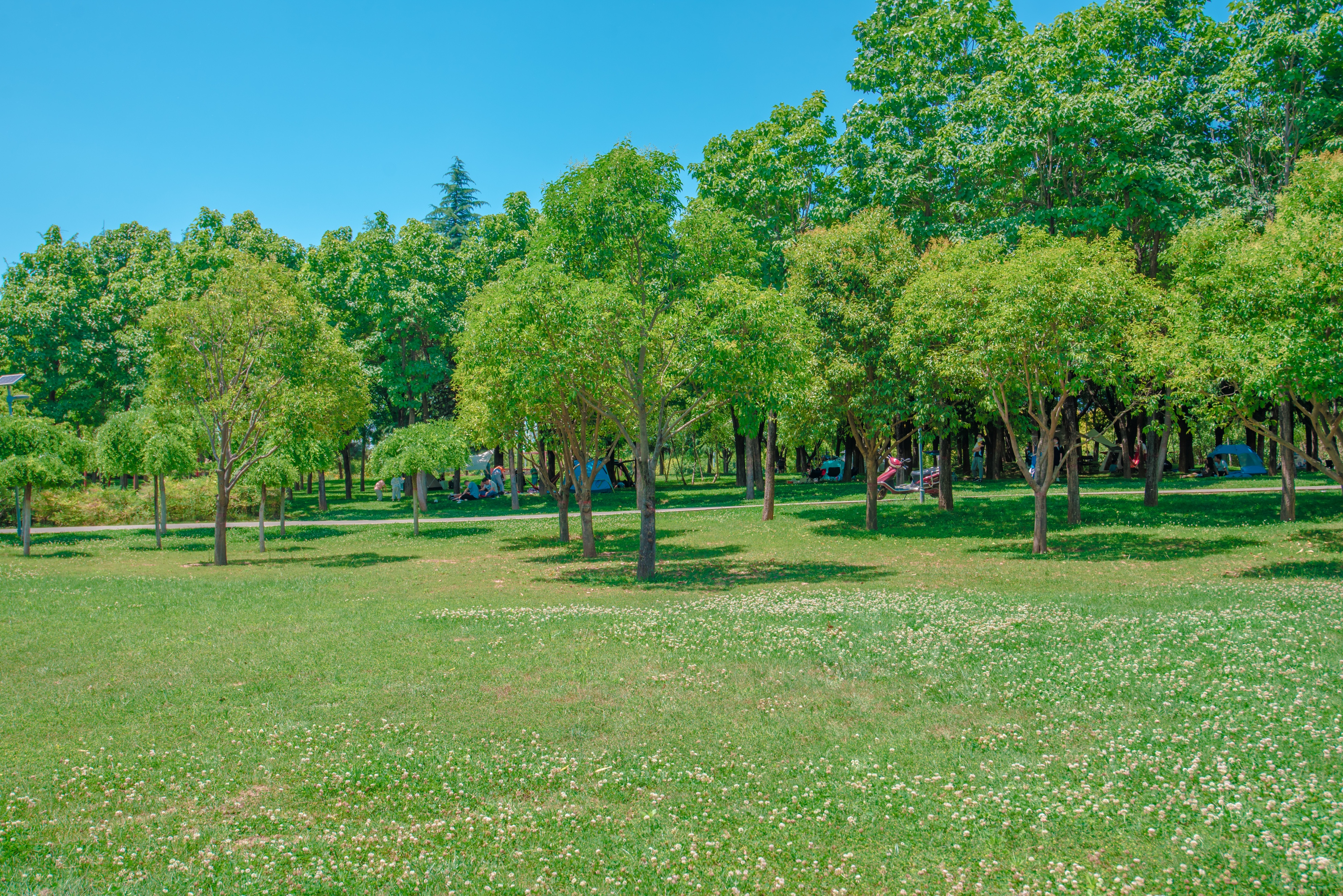 西安秋天野营免费地点,西安秋天露营地免费地点