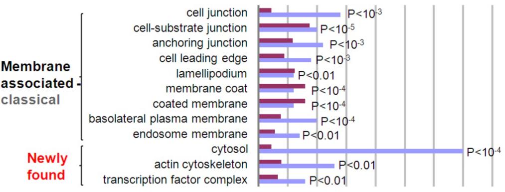 热带植物小果榕光合作用对光抑制的高敏感性