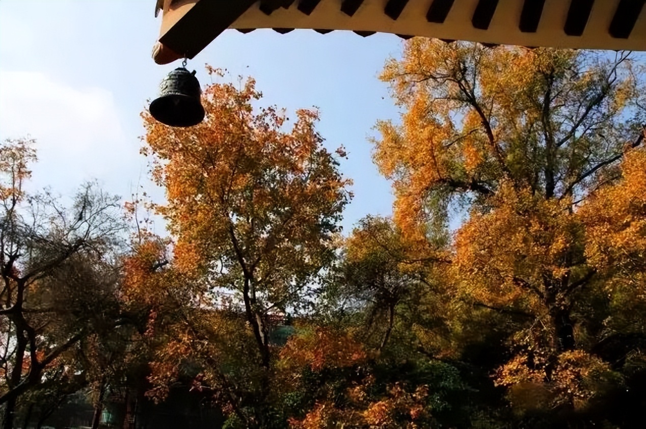 广州台山市二日游,台山川山群岛一日游