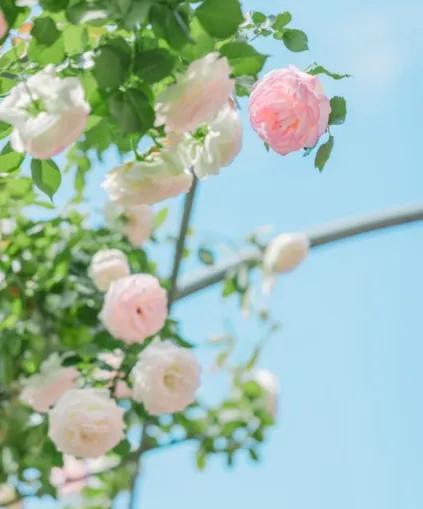 一个家富不起来的原因,一个家庭富不起来的三句话