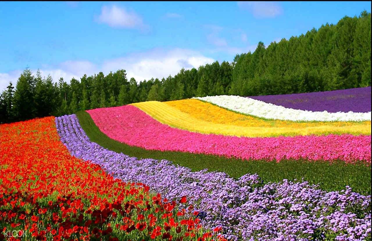 成都网红打卡景点排行,成都网红打卡景点双子塔在哪里