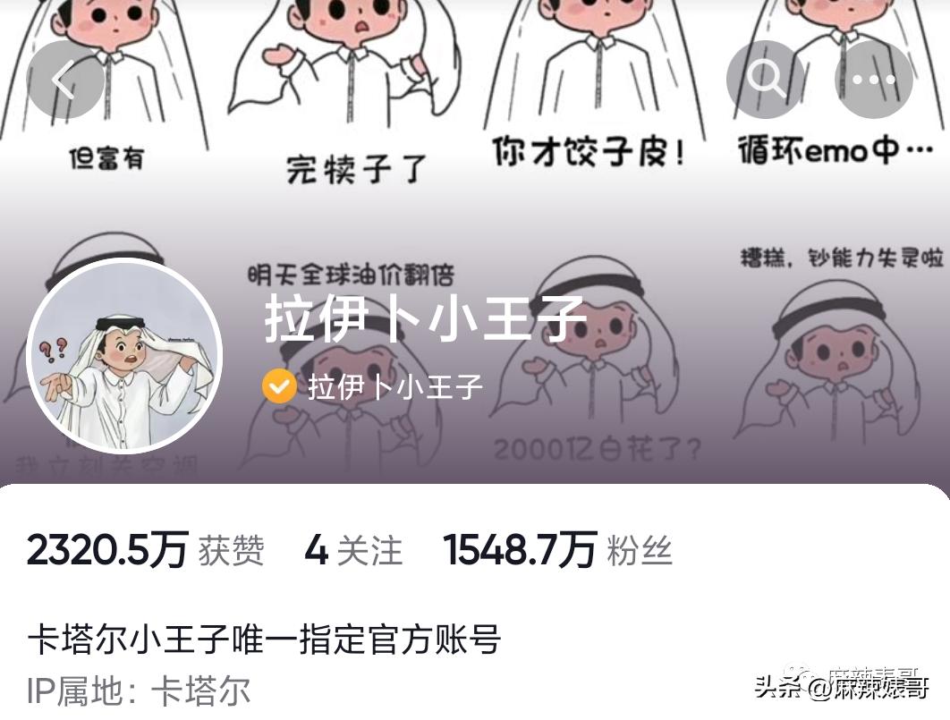 金晨模仿卡塔尔小王子自拍,金晨模仿卡塔尔王子自拍引热议