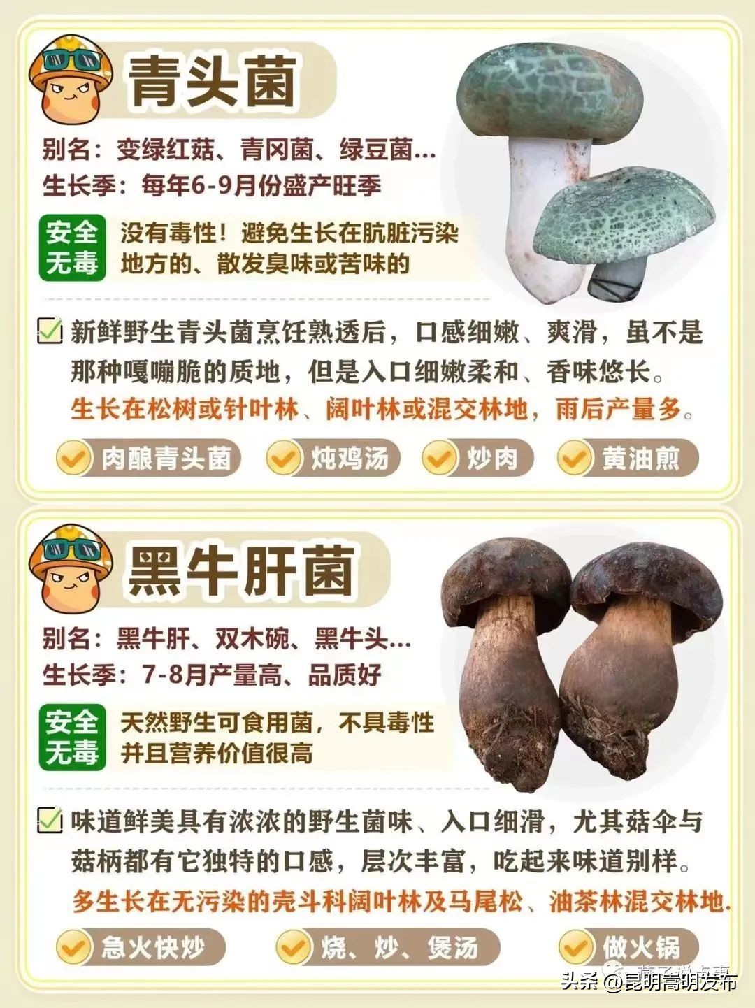 孩子开车撞人去自首,儿子开车撞人最后自首