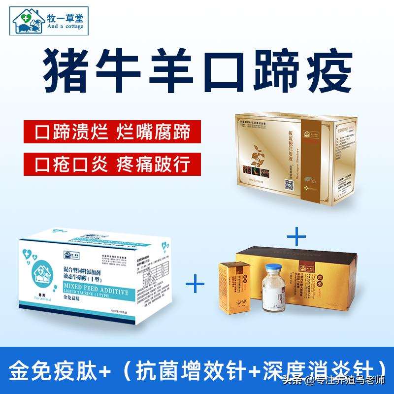 牛口蹄疫一定要提前做好预防,牛口蹄疫预防和治疗
