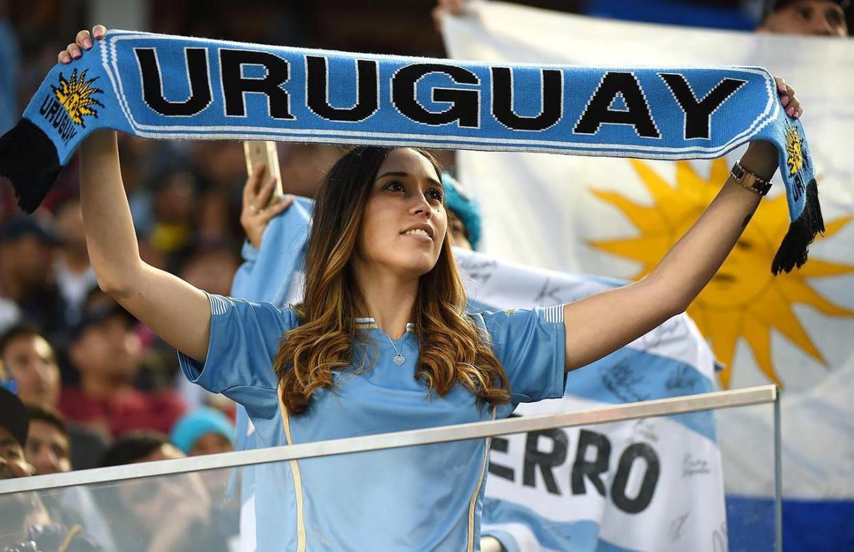 世界杯各国足球队徽,世界杯足球队伍的队徽