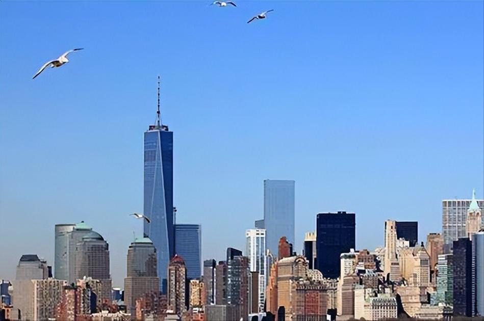 葵花药业创始人,葵花药业发家史