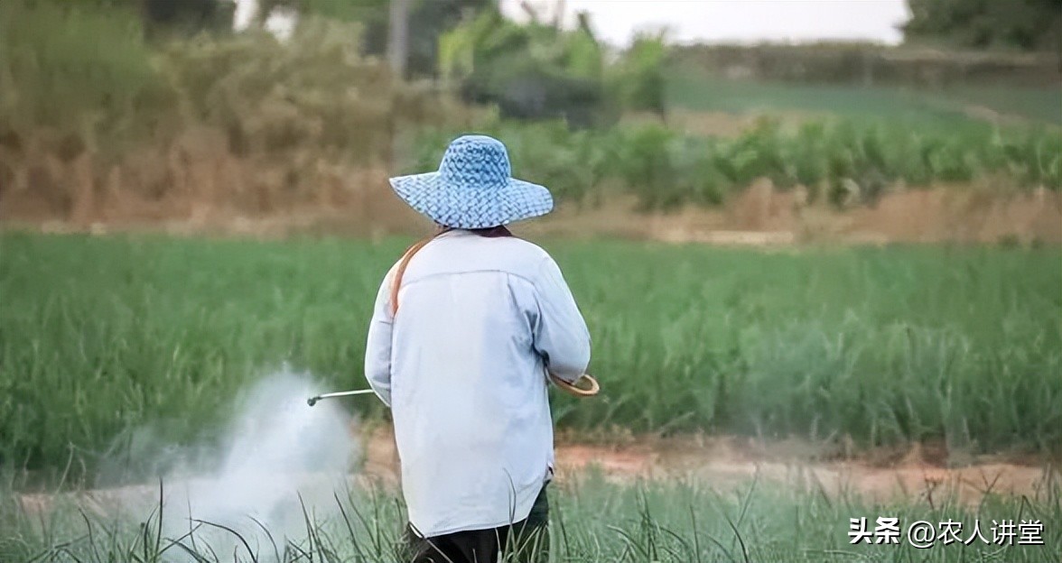 这个果实膨大配方你知道吗？最高增产可达60%