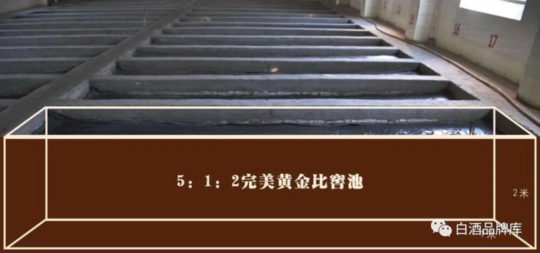 新疆伊力特最新分析,新疆伊力特酒厂最新消息