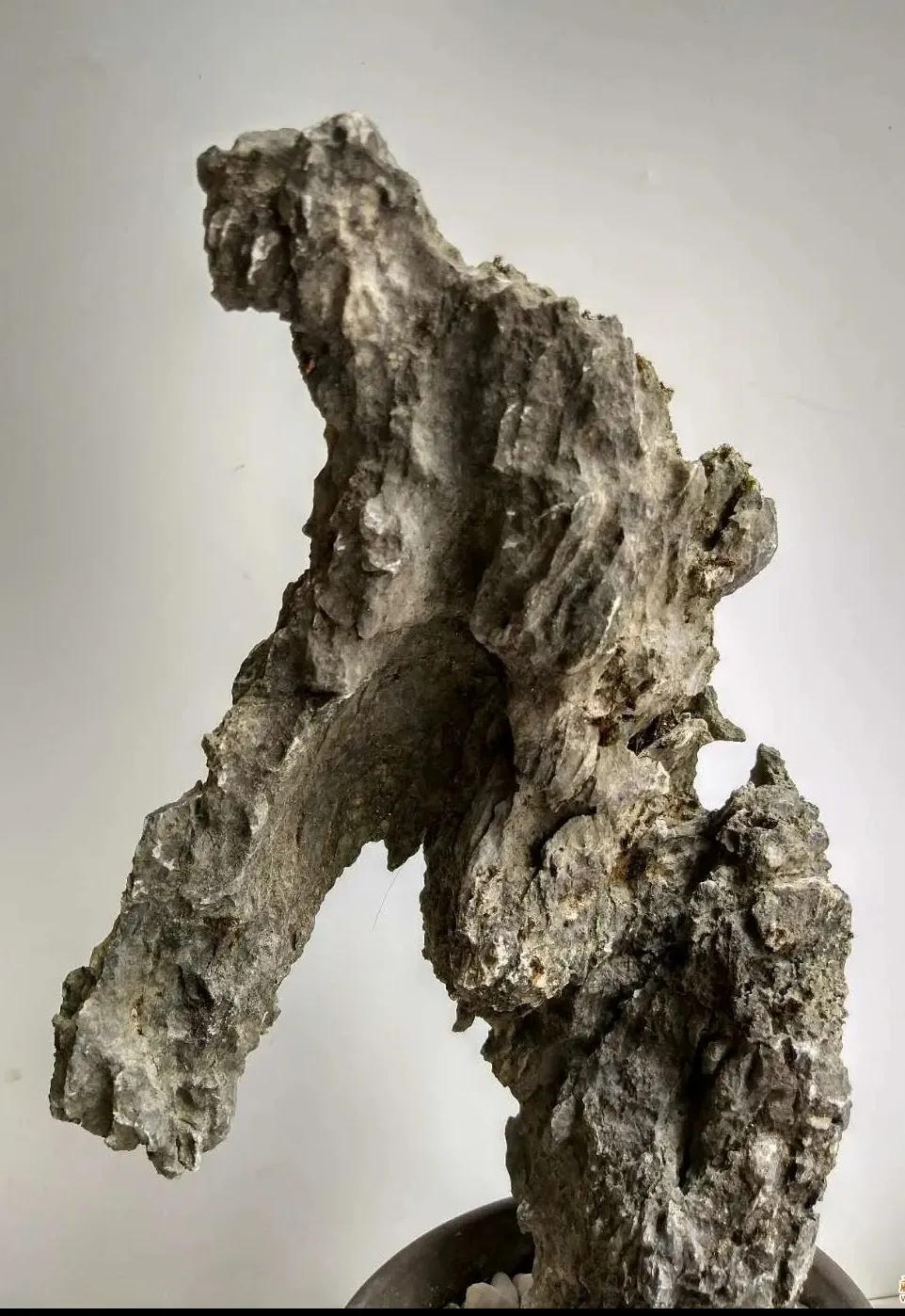 ●这些石头，想跟你私聊