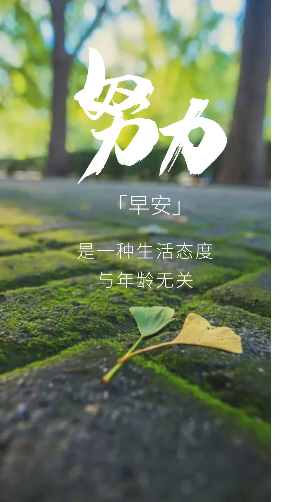 「2022.11.03」早安心语，正能量经典哲理语录句子很赞的问候图片