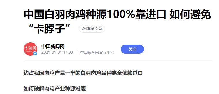 一年吃6亿只鸡,中国一年吃掉近50亿只白羽肉鸡
