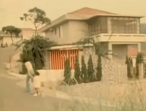 邓丽君的真实死因揭秘,揭秘一代歌后邓丽君死亡之谜