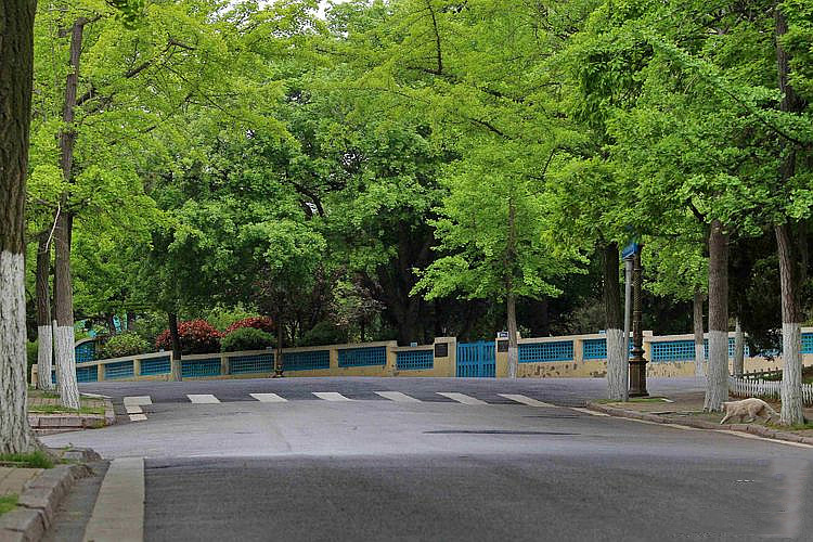 青岛最美摄影作品,青岛摄影师现状