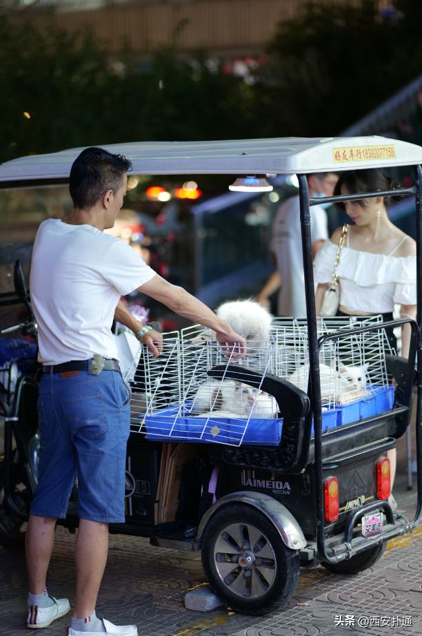 高新大都荟摆摊夜市在哪个位置,高新大都荟摆摊