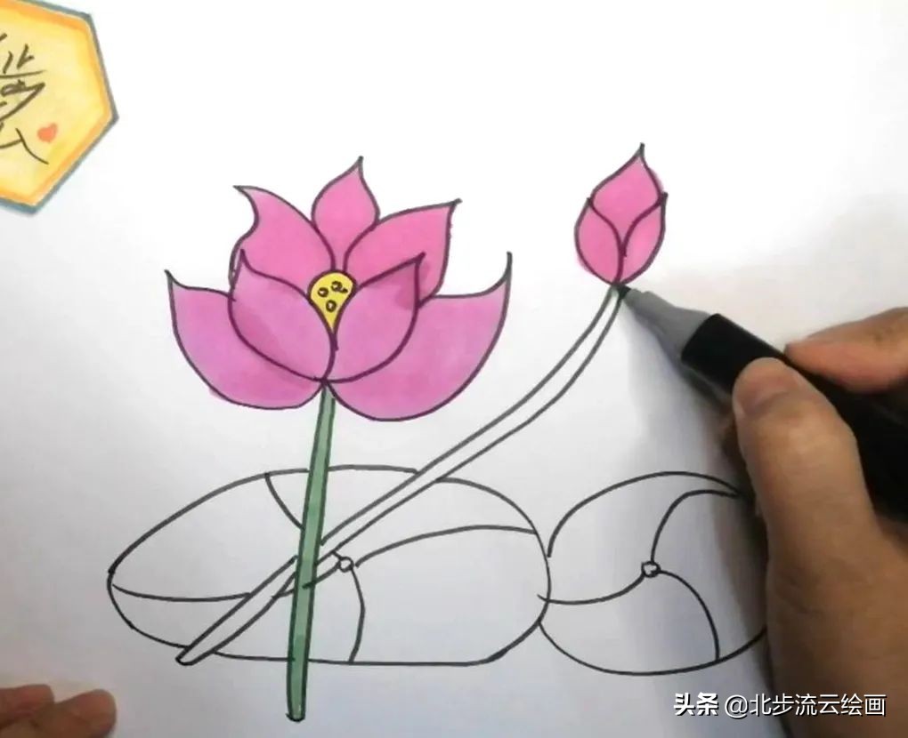 青蛙和荷花简笔画简单又好看,荷花手抄报简单又漂亮简笔画