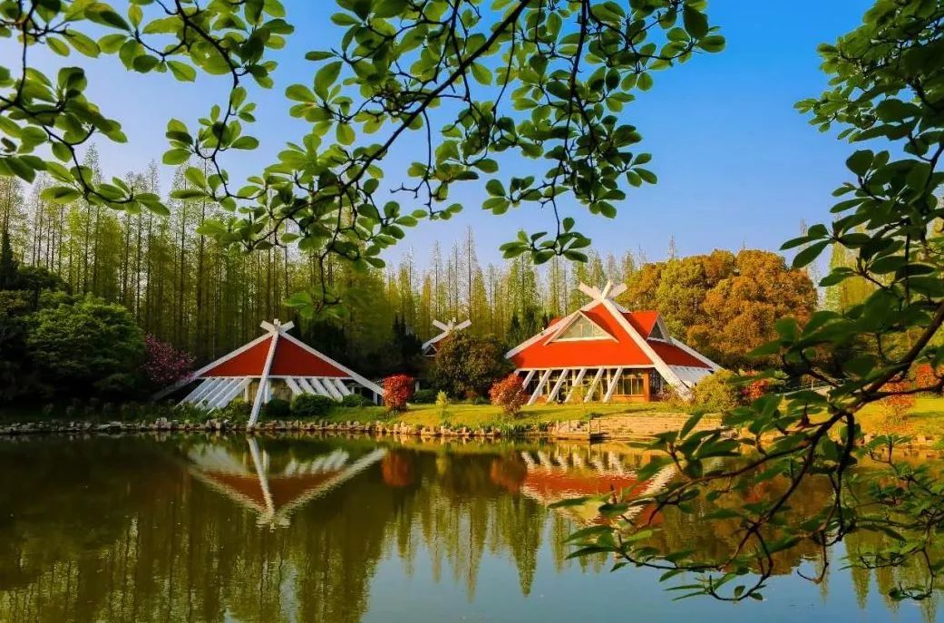 上海崇明生活是一种什么体验,崇明岛居住体验