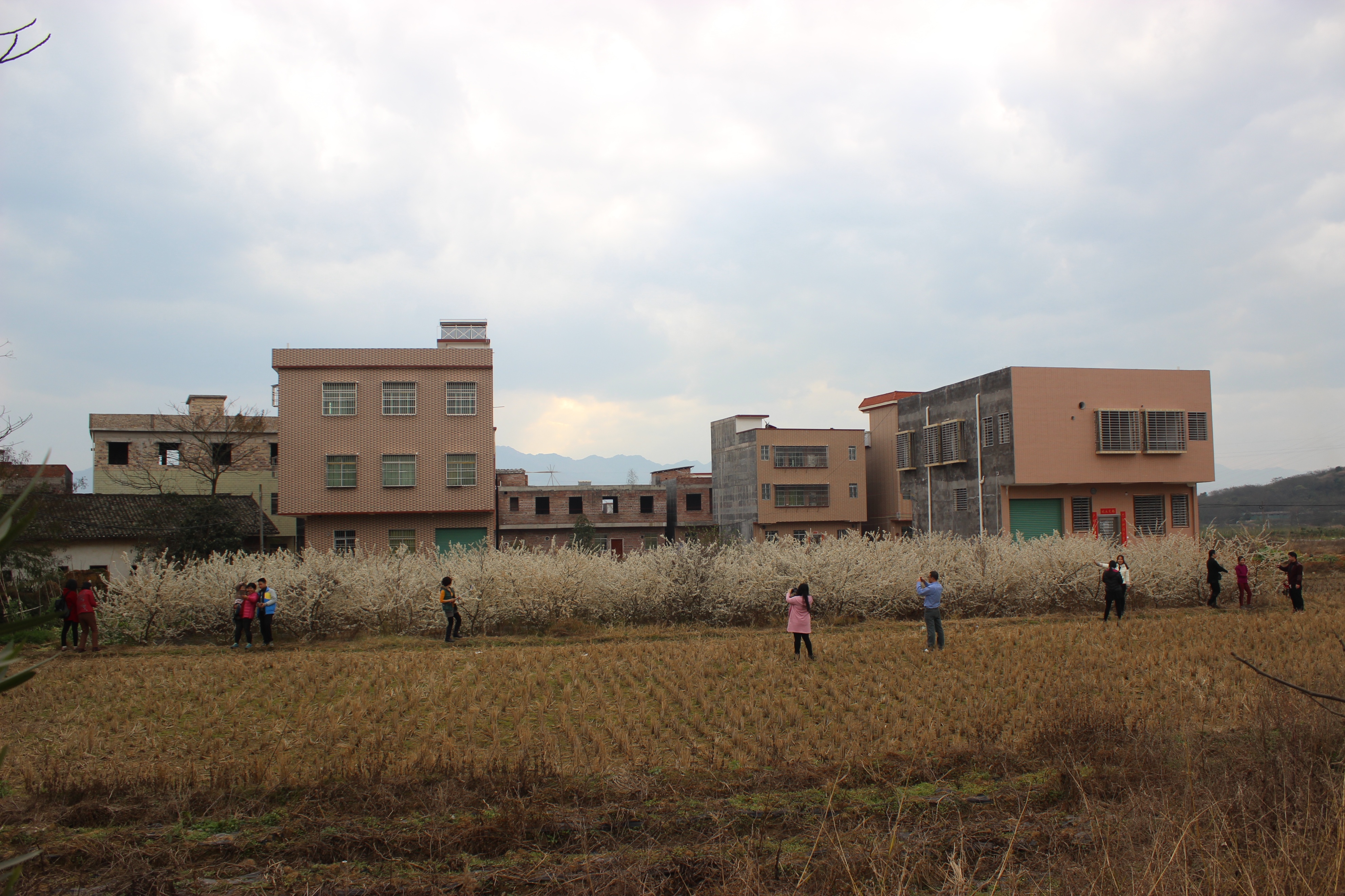 赣州周末出游攻略,春节赣州出发2-3天短途旅游
