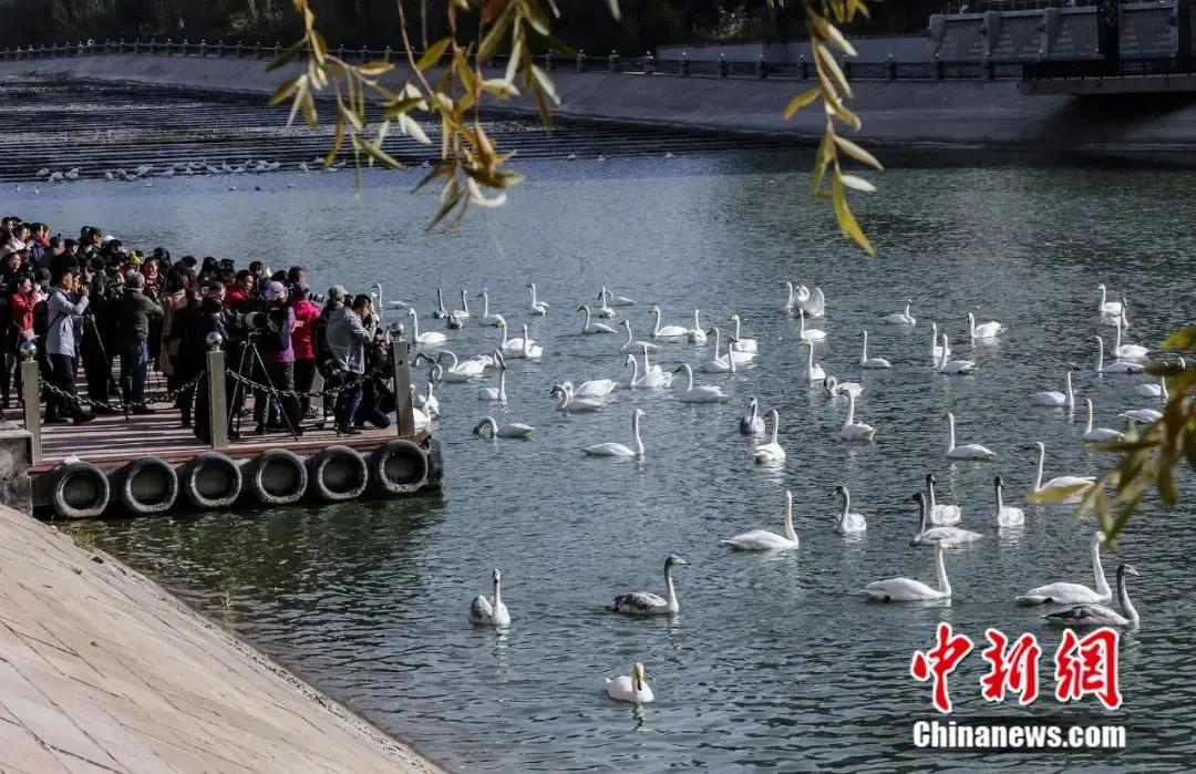 用信用卡维持生活,透支自己的信用卡