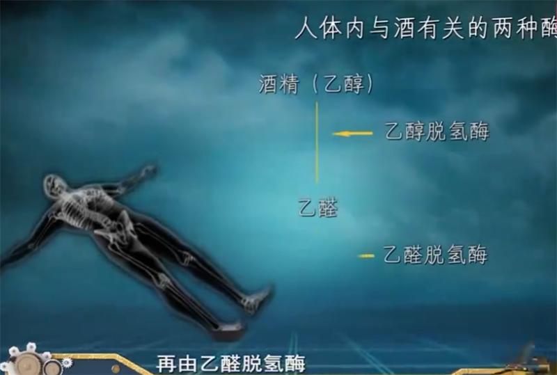 千杯不醉女孩刘静完整版,湖南喝酒不醉的女人刘静