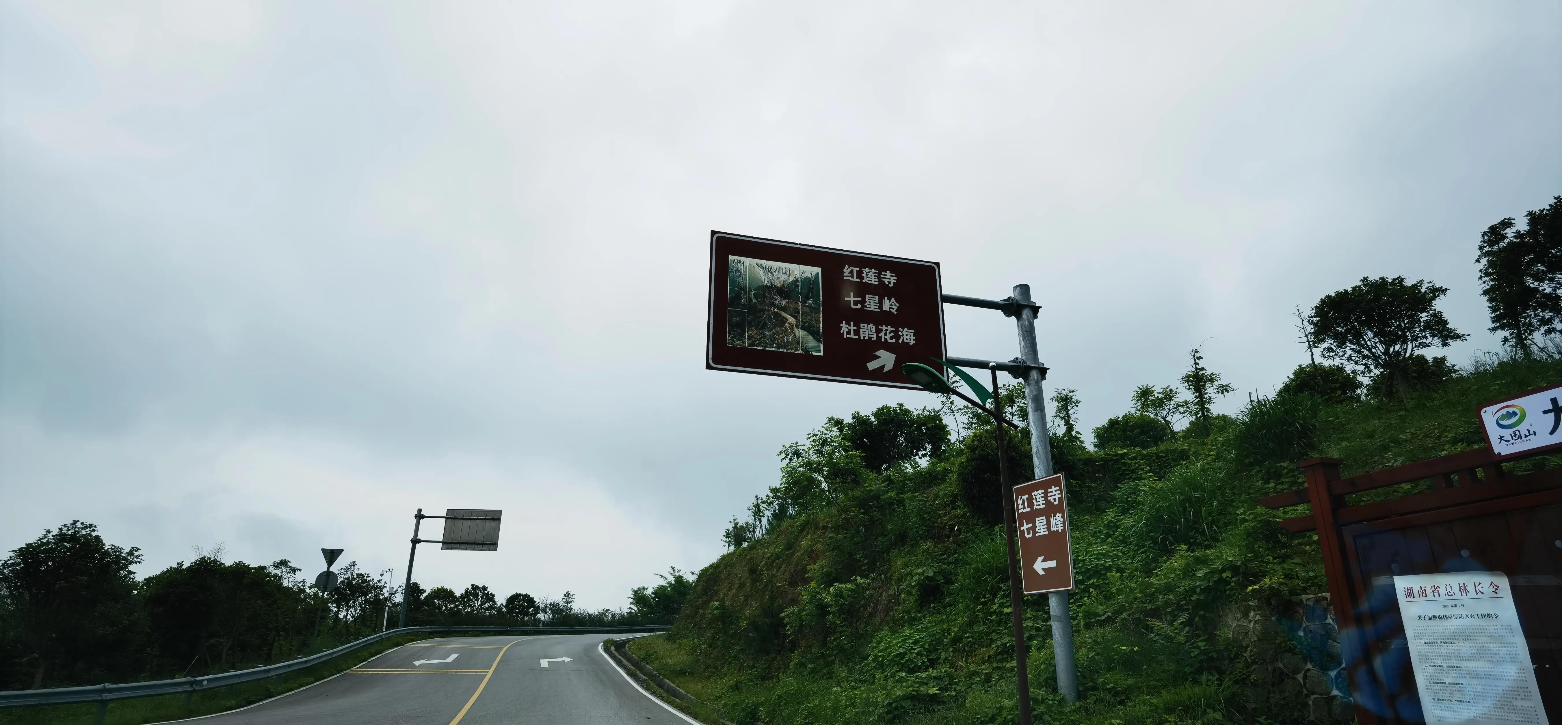 浏阳大围山森林公园浏阳河源头,大围山杜鹃花在哪个景点看