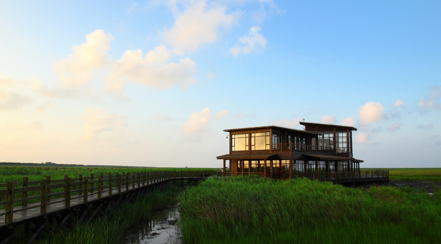 上海崇明：追求极致原生态生活，享受三岛的宁静与谦和