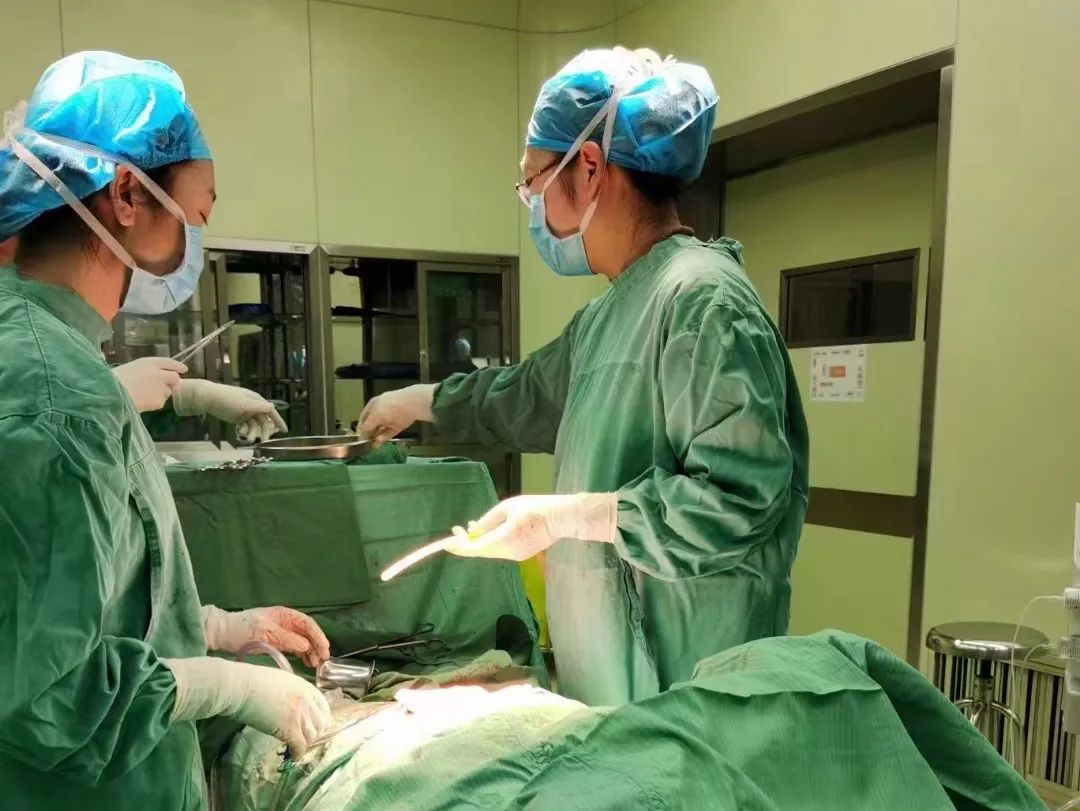 “医”心不凡|张晨：以心为灯，护一路好“孕”